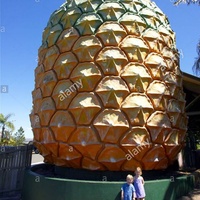 Concerts de rock à Big Pineapple Fields, Sunshine Coast Big Pineapple Fields, Sunshine Coast