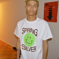 Spring Silver 2025 Spring Silver
