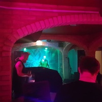 Concerts de rock à The Cellar Bar, Stafford The Cellar Bar, Stafford