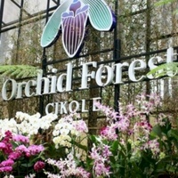 Concerts de rock à Orchid Forest, Bandung Orchid Forest, Bandung