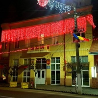 Primăria Oraşului Seini, Seini