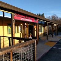 Concerts de rock à The Elephant In the Room, Healdsburg, CA The Elephant In the Room, Healdsburg, CA