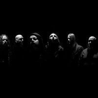 Shape of Despair 2025 Shape of Despair