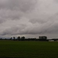 Willard, OH
