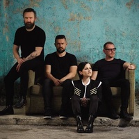 The Cranberries 2025 The Cranberries