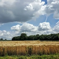 Herck-la-Ville