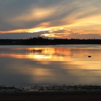 Concerts de rock à Green Park Campground, Tyne Valley Green Park Campground, Tyne Valley