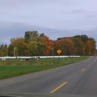 Comstock Park, Michigan, MI