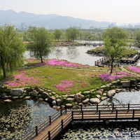 Concerts de rock à Samnak Ecological Park, Pusan Samnak Ecological Park, Pusan