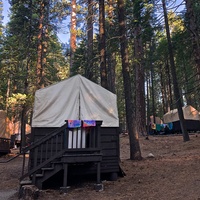 Lair of the Golden Bear, Pinecrest, CA
