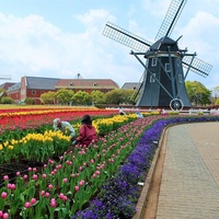 Concerts de rock à Huis Ten Bosch, Nagasaki Huis Ten Bosch, Nagasaki