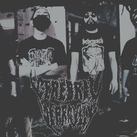 Cerebral Depravity 2025 Cerebral Depravity