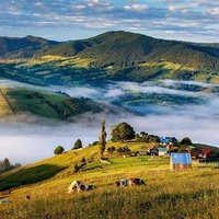 Pitești