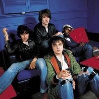 The Libertines 2025 The Libertines