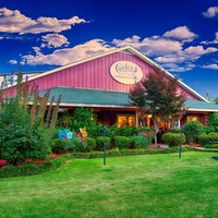 Concerts de rock à Cape Fear Vineyard and Winery, Elizabethtown, NC Cape Fear Vineyard and Winery, Elizabethtown, NC