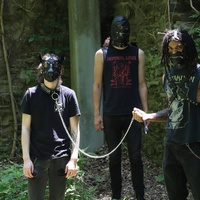 Dungeon Filth 2025 Dungeon Filth