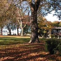 Denny Park, Seattle, WA