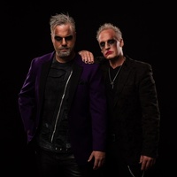 The Roadkill 2025 The Roadkill