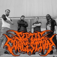 Septic Congestion 2025 Septic Congestion