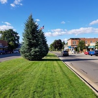 Brooklyn, MI