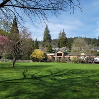 Concerts de rock à Lithia Park, Ashland, OR Lithia Park, Ashland, OR