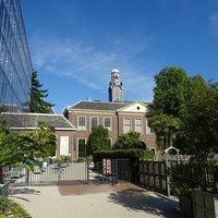 Hortus Botanicus, Leyde