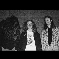 Mephitic Corpse 2025 Mephitic Corpse