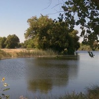 Lemoore, CA