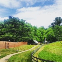 Madison, VA