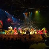 Lotto Arena, Anvers