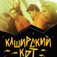 Каширский Кот 2025 Каширский Кот