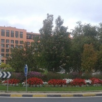 Foruen Plaza, Pampelune