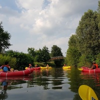 Parco Retrone, Vicence