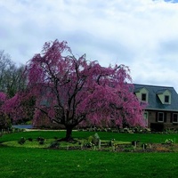 Glenmoore, PA