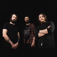 Conifer Beard 2025 Conifer Beard