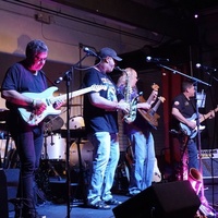 Wall of Echoes (Pink Floyd Tribute) 2025 Wall of Echoes (Pink Floyd Tribute)