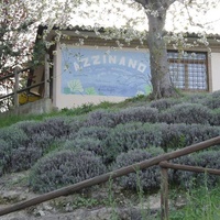 Pro Loco, Teramo