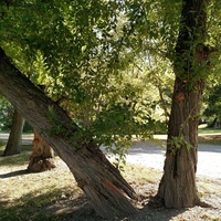 Mote Park, Piqua, OH