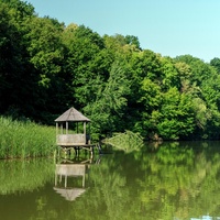 Concerts de rock à Rezervația naturală "Codrii", Lozova Rezervația naturală "Codrii", Lozova